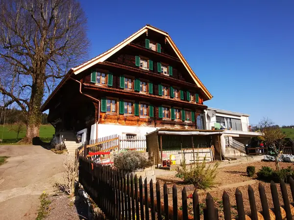 Odermatt Holzbau GmbH Referenz 4